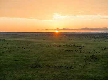 Legendary Songa Migrational Camp: Unterwegs