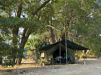 Luangwa Bush Camping: Unter Bäumen