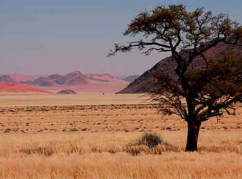 Namtib Desert Lodge: Halbwüste