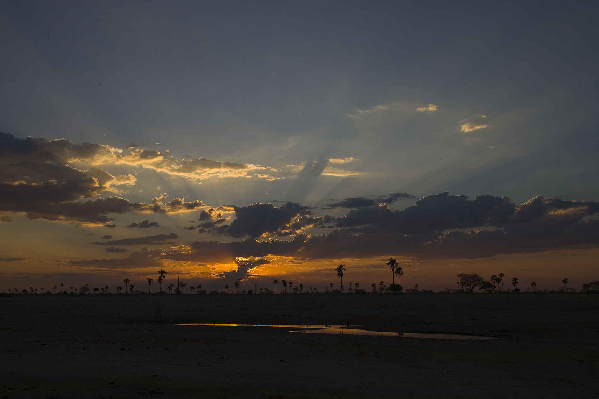 Hwange National Park, The Hide, Abend, Mokolane-Palme, Palme, Sonnenuntergang, Preston Family