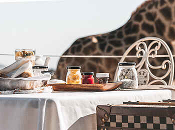 Voigtland Guesthouse: Frühstück mit Giraffen