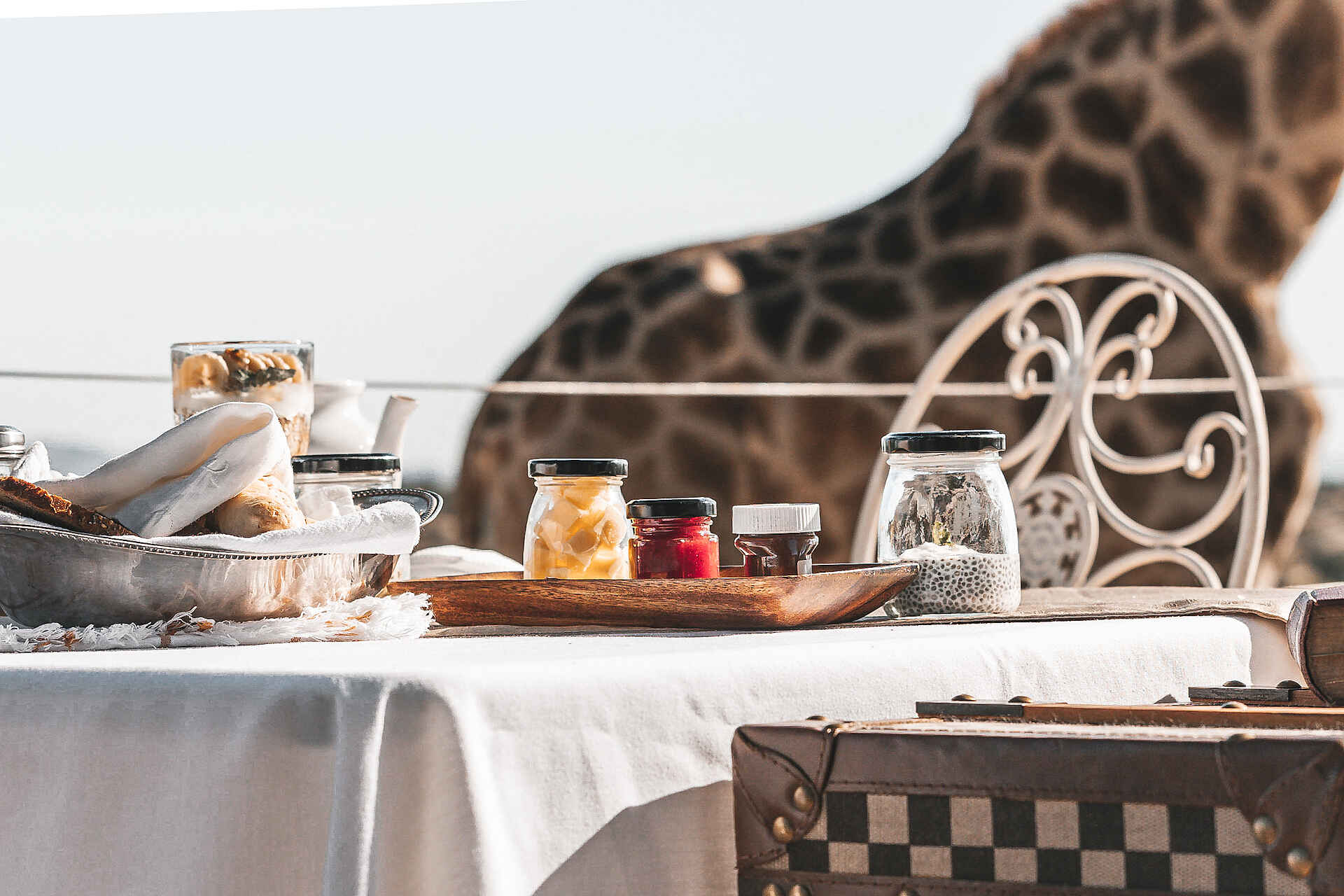 Voigtland Guesthouse: Frühstück mit Giraffen