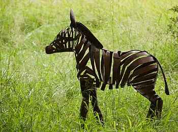 Xakanaxa Camp: Zebraskulptur