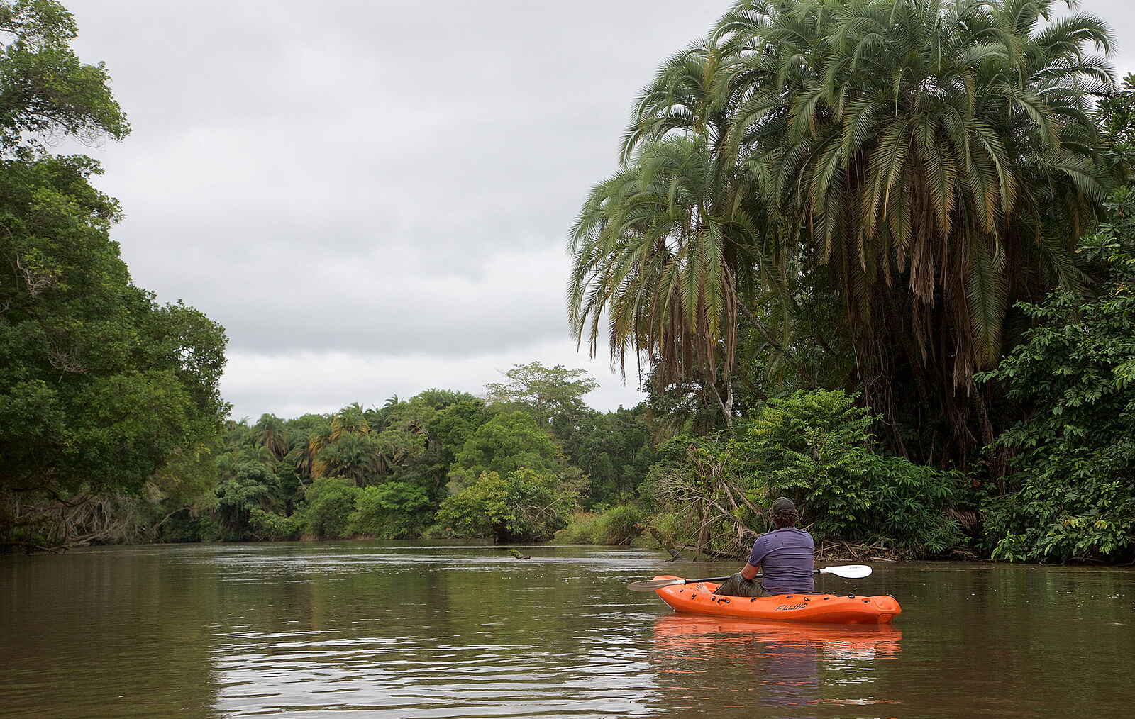 Mboko Camp: Kajak-Safari auf dem Lekoli Mboko Camp: Kajak-Safari auf dem Lekoli