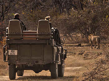 Ntemwa Busanga Bushcamp: Löwen auf einem Game Drive