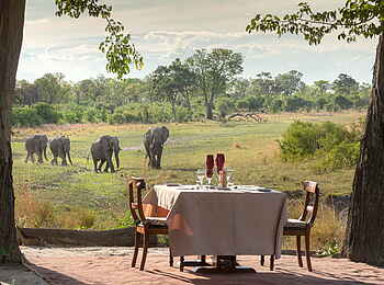 Selinda Explorers Camp: Elefantenbesuch Selinda Explorers Camp: Elefantenbesuch