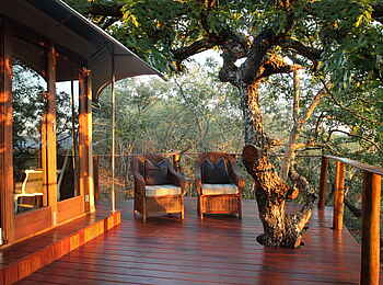 Thanda Tented Camp: Privates Holzdeck Thanda Tented Camp: Privates Holzdeck