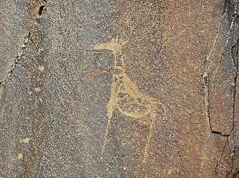 Fort Sesfontein: Die Gravur einer Giraffe