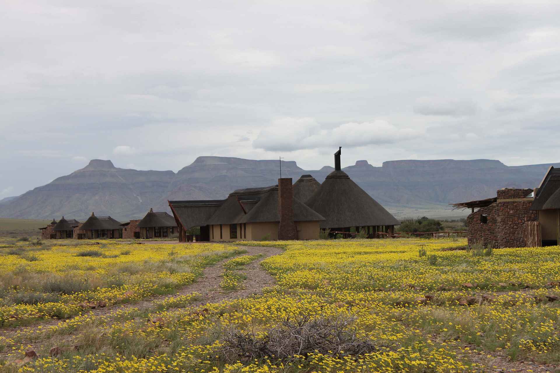 Dünen, Hoodia Desert Lodge, Namib, Namib-Naukluft, Sesriem, Sossusvlei, Wüste, Gesamtansicht, Landschaft, Lodge, Wüstenblumen, Afrikarma, Afrikarma Safaris, Afrikarma.de
