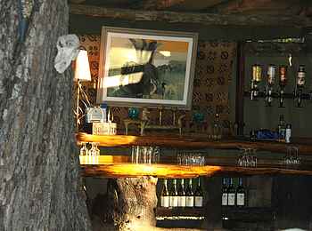 Kujwana Camp: Blick in die Bar