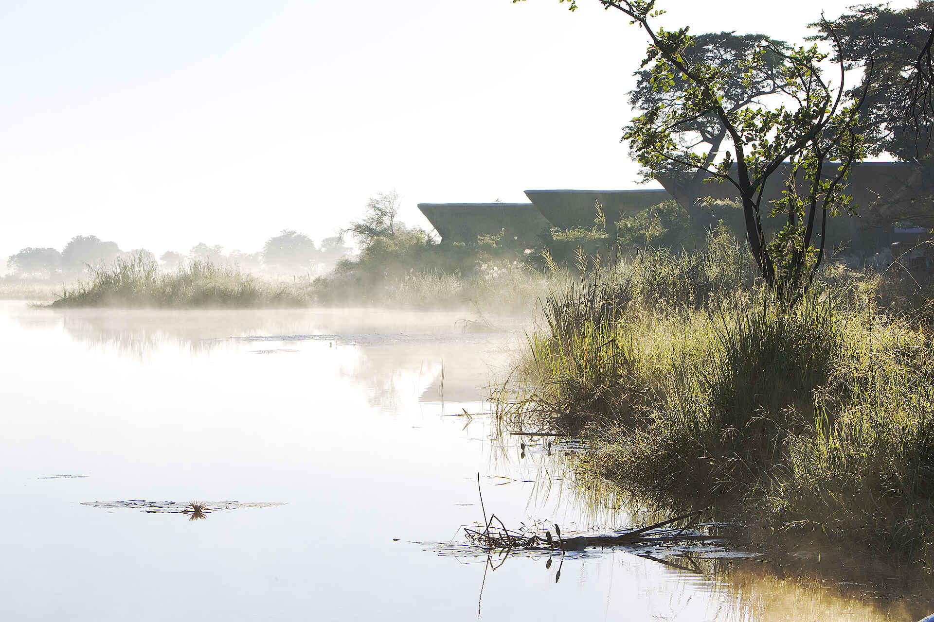 Caprivi, Cuando, Dunst, Kwando, Kwando River, Kwando Safaris, Lagune, Morgennebel, Nebel, NG 14, NG 14 Kwando Konzession, Kwando Lagoon, Kwando Lagoon Camp, Lagoon Camp