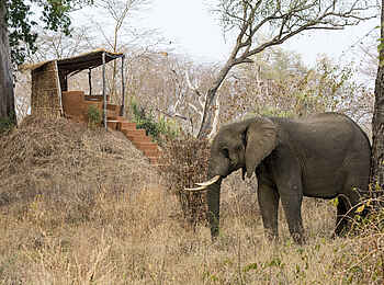 Mwamba Bush Camp: Anthill Aussichtsplattform Mwamba Bush Camp: Anthill Aussichtsplattform