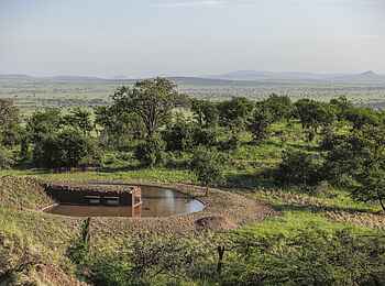 Serengeti Explorer: Der Hide am Wasserloch Serengeti Explorer: Der Hide am Wasserloch