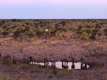 Skybeds: Elefanten vor Skybeds Skybeds: Elefanten vor Skybeds