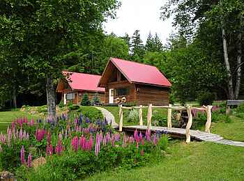 Tweedsmuir Park Lodge: Die Chalets in ihrer Umgebung