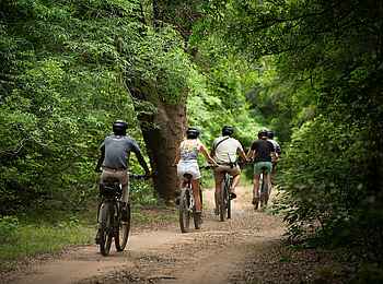 andBeyond Phinda Vlei Lodge: Radfahren