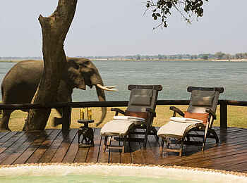 Chiawa Camp: Elefant am Plunge Pool