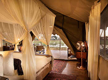 Duba Explorers Camp: Blick übers Bett nach draußen