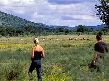 GocheGanas: Wandersafari