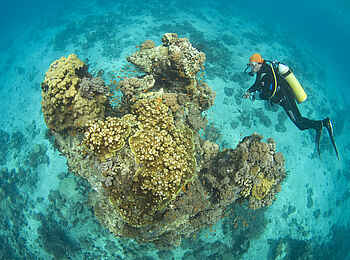 Kinasi Lodge: Tauchen in einer beeindruckenden Unterwasserwelt Kinasi Lodge: Tauchen in einer beeindruckenden Unterwasserwelt