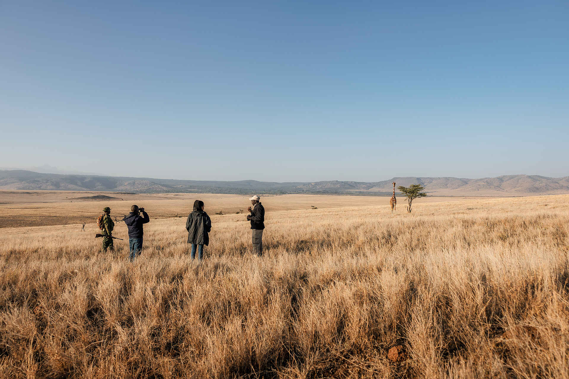 Lewa Safari Camp: Walking Safari mit Giraffe Lewa Safari Camp: Walking Safari mit Giraffe