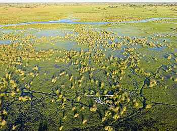 MmaTsebe Tented Camp: Delta von oben