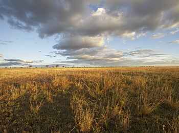 Oliver's Camp: Silale-Sümpfe Oliver's Camp: Silale-Sümpfe