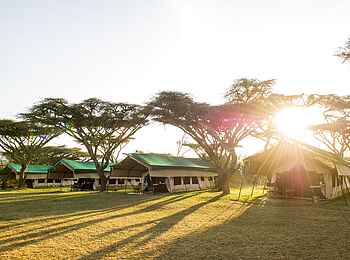 Sanctuary Serengeti Migration Camp: Gästezelte in der Morgensonne Sanctuary Serengeti Migration Camp: Gästezelte in der Morgensonne