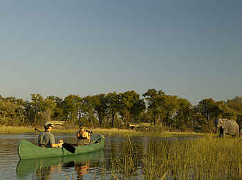 Selinda Explorers Camp: Elefantenbegegnung Selinda Explorers Camp: Elefantenbegegnung