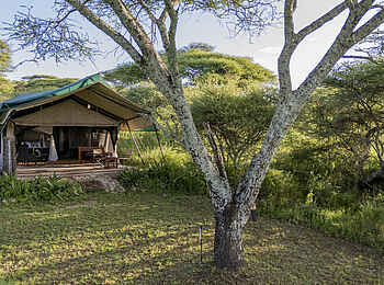 Serengeti Woodlands Camp: Luxury Tent Ansicht
