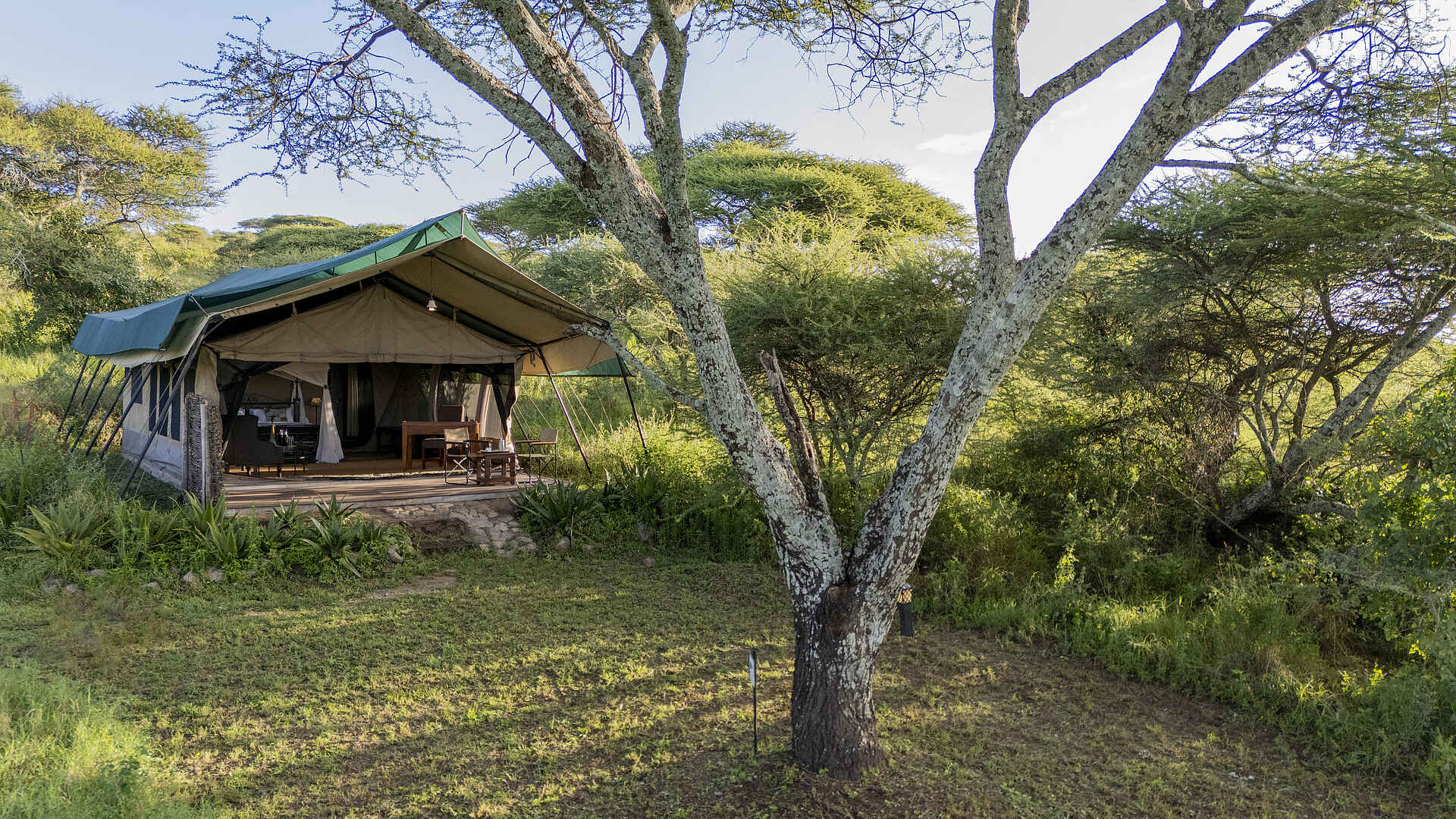 Serengeti Woodlands Camp: Luxury Tent Ansicht