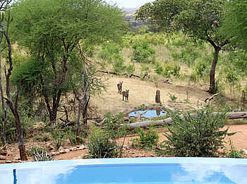 Tarangire Treetops: Wasserloch 1