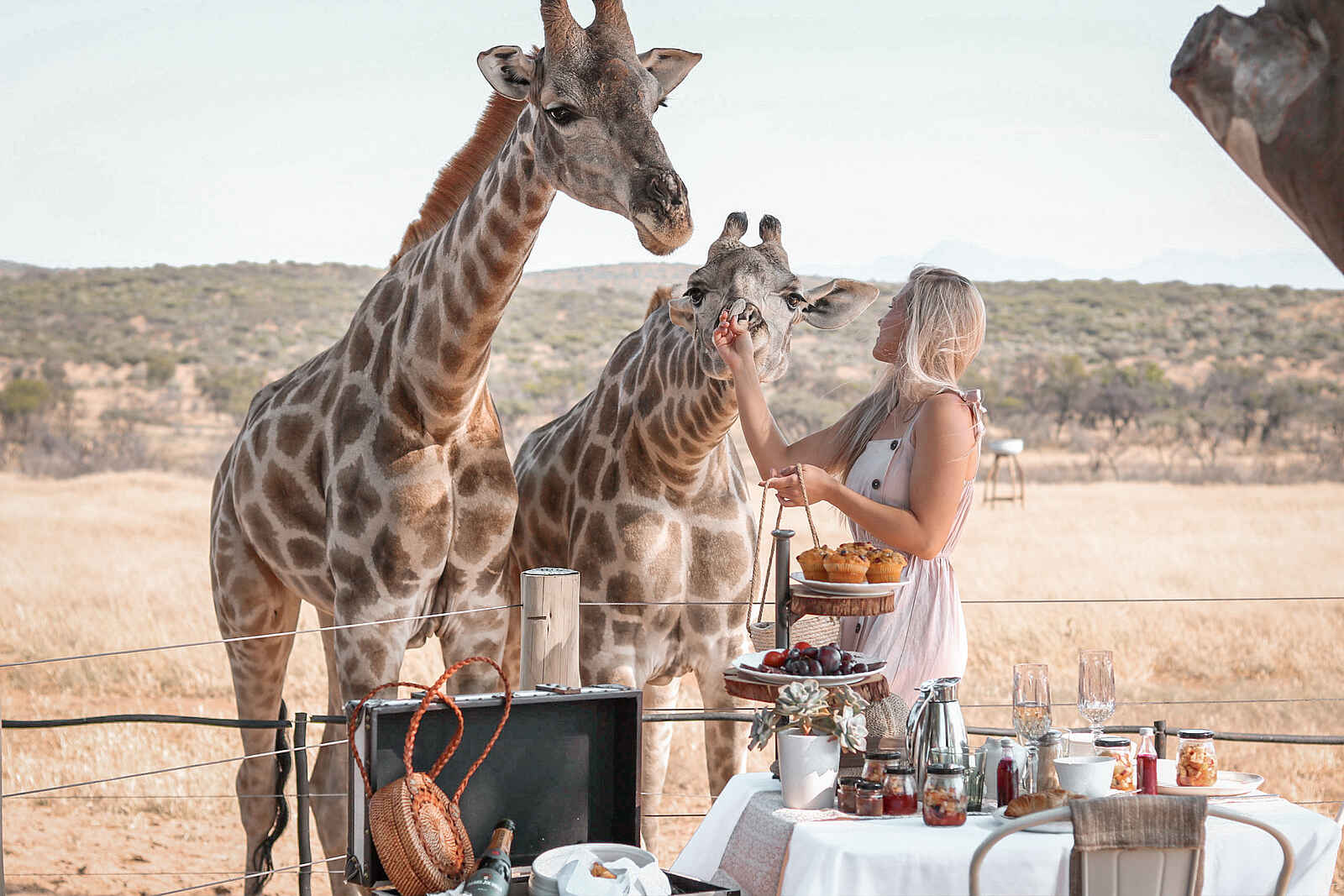 Voigtland Guesthouse: Frühstück mit den Giraffen Voigtland Guesthouse: Frühstück mit den Giraffen