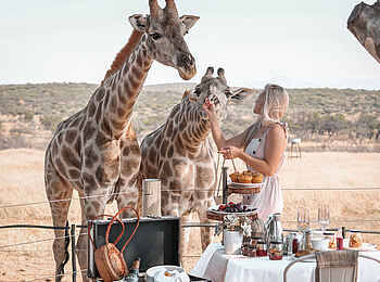 Voigtland Guesthouse: Frühstück mit den Giraffen