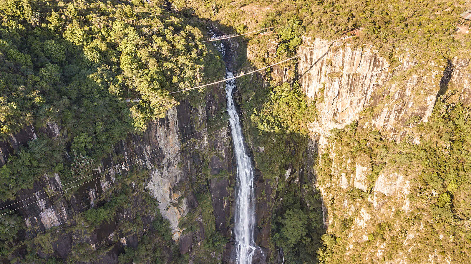 Aberfoyle Lodge: SkyLine Walk bei den Mutarzai Falls Aberfoyle Lodge: SkyLine Walk bei den Mutarzai Falls
