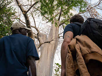 Blue Zebra Island Lodge: Unterwegs auf dem Nature Trail