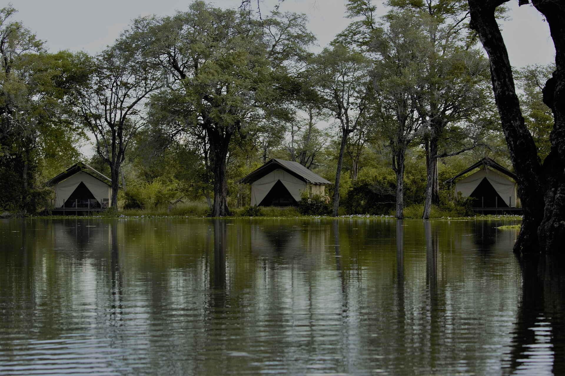 Ingwe Pan, Ingwe Pan Camp, Machaba Safaris, Mana Pools National Park, Gästezelt, Pfanne, Afrikarma, Afrikarma Safaris, Afrikarma Safaris - Wildnis. Hautnah., Afrikarma.de