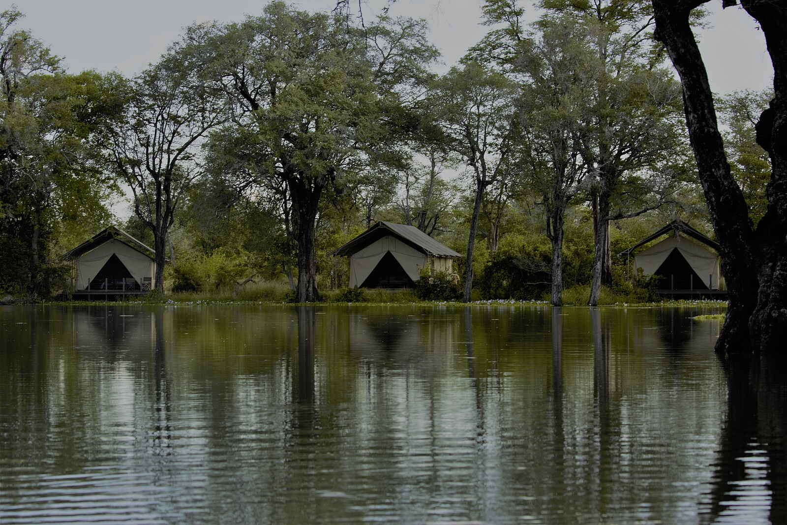 Ingwe Pan Camp: Gästezelte neben der wassergefüllten Pfanne Ingwe Pan Camp: Gästezelte neben der wassergefüllten Pfanne