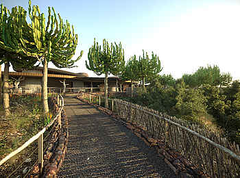 Mashatu Euphorbia Villas: Weg vom Aussichtspunkt zur Bar