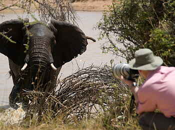 Ol Malo: Elefantenbegegnung