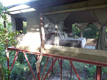 Sarara Tree: Zelt auf einer Holzplattform Sarara Tree: Zelt auf einer Holzplattform