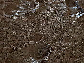 Chaka Camp: Fußspuren im Boden