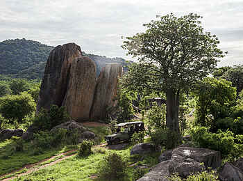 Jabali Private House: Landschaft