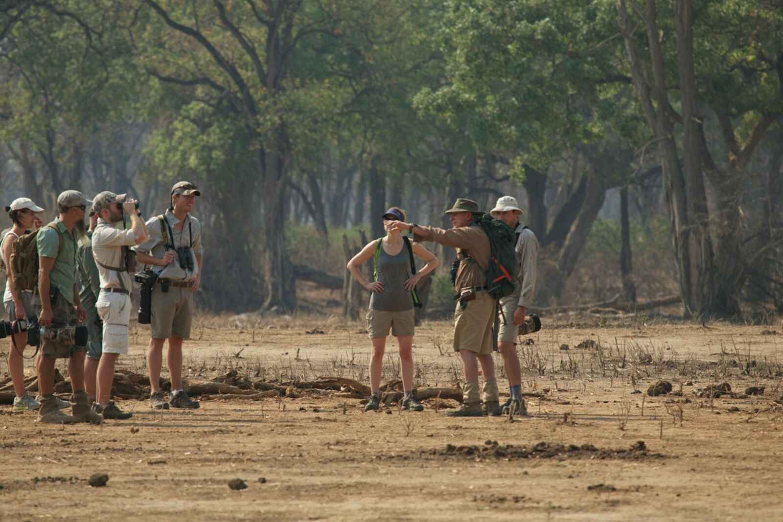 John's Camp: Gruppe auf Walking Safari John's Camp: Gruppe auf Walking Safari