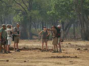 John's Camp: Gruppe auf Walking Safari