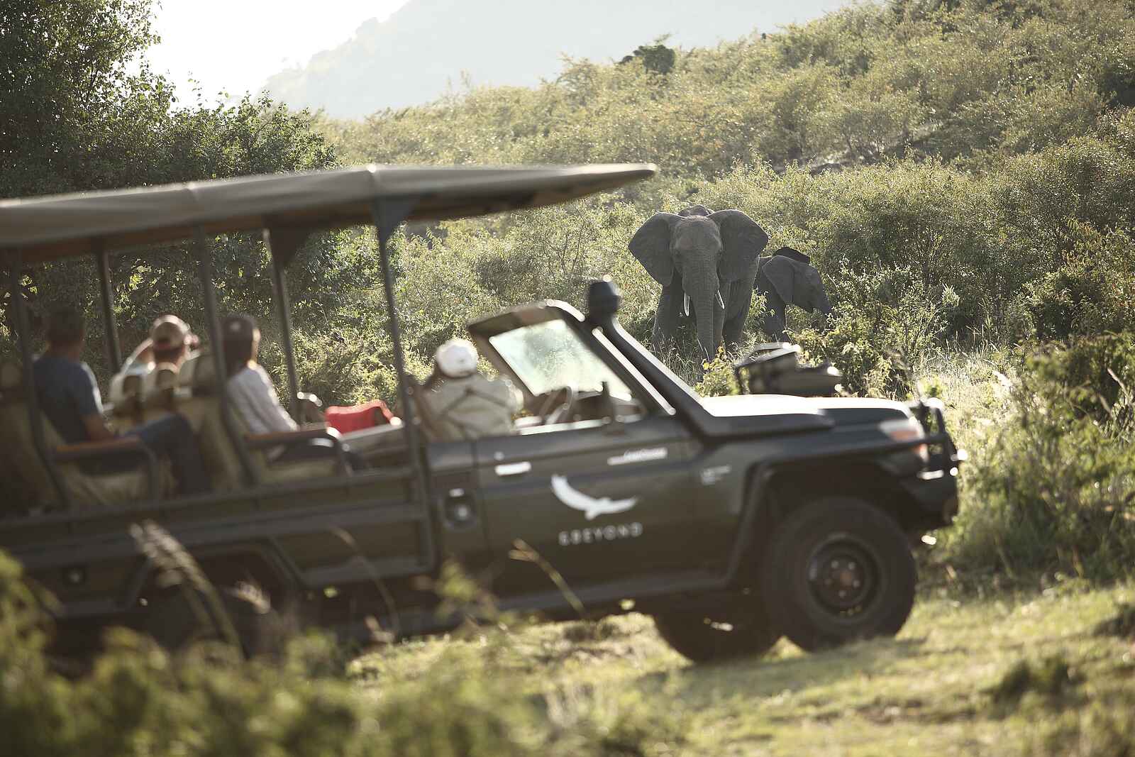 Klein's Camp: Elefantensichtung Klein's Camp: Elefantensichtung