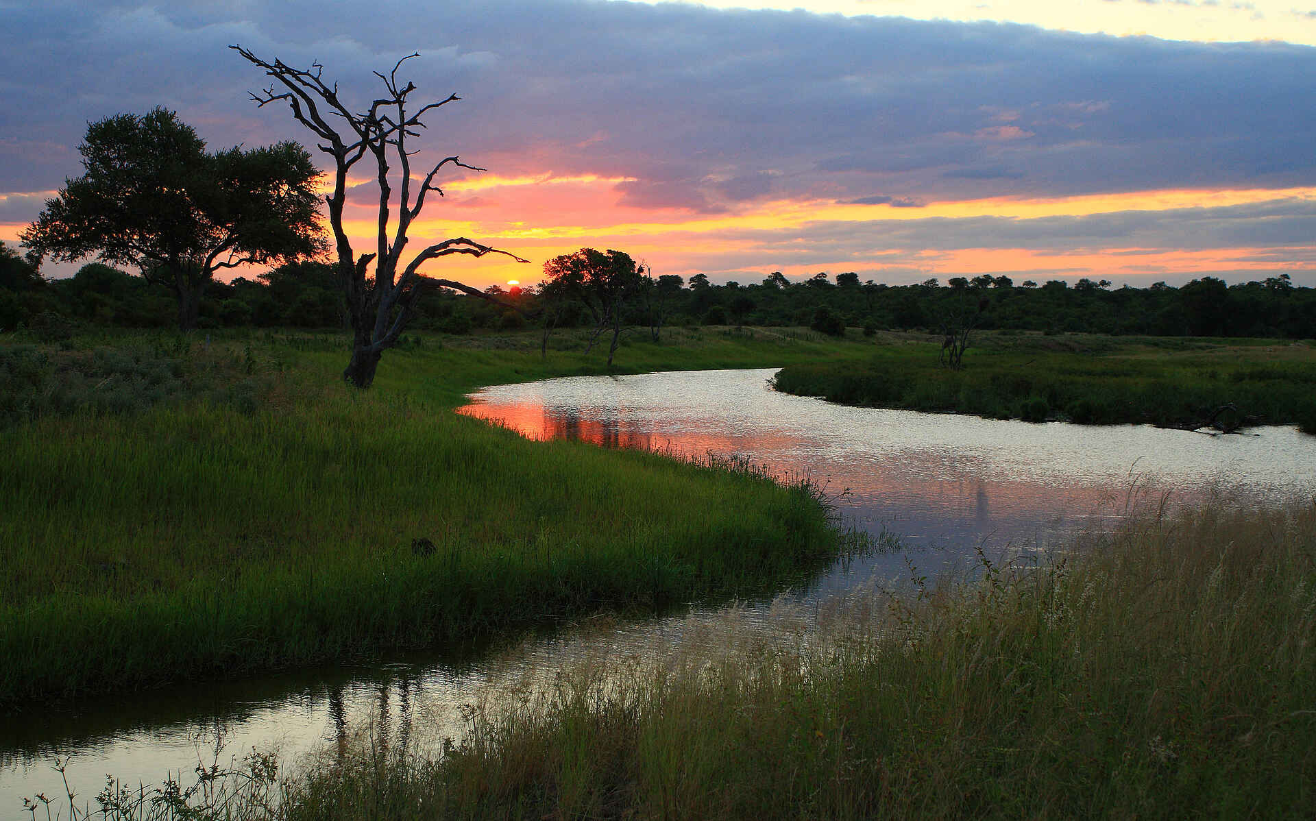 Fluss Sohebele, Kruger National Park, Krüger-Nationalpark, Motswari, Motswari Game Lodge, Motswari Private Game Reserve, Sohebele, Südafrika, Timbavati, Timbavati Nature Reserve, Dämmerung, Flussufer, Natur, Sonnenuntergang, Afrikarma, Afrikarma Safaris, Afrikarma Safaris - Wildnis. Hautnah., afrikarma.de