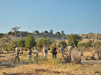 Ngoma Safari Lodge: Guided Walk Ngoma Safari Lodge: Guided Walk