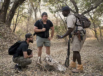 Nyamatusi Mahogany: Spurensuche