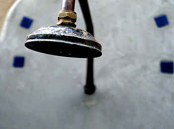 Olive Grove Guesthouse: Duschkopf